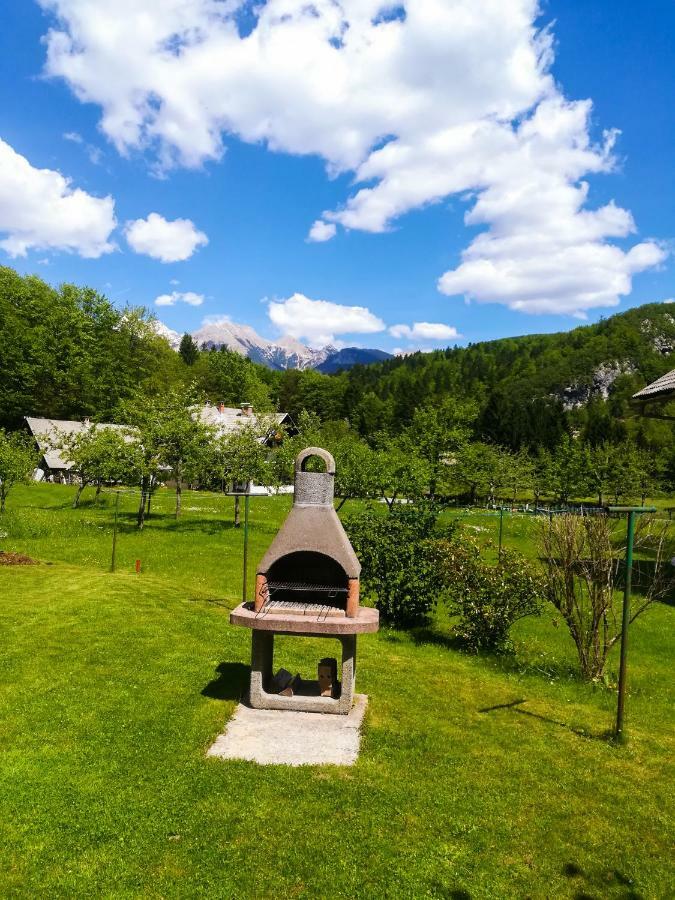 Henigman Bohinj